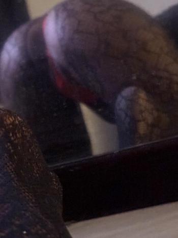 731-236-6294, 26  female escort, Tri-Cities